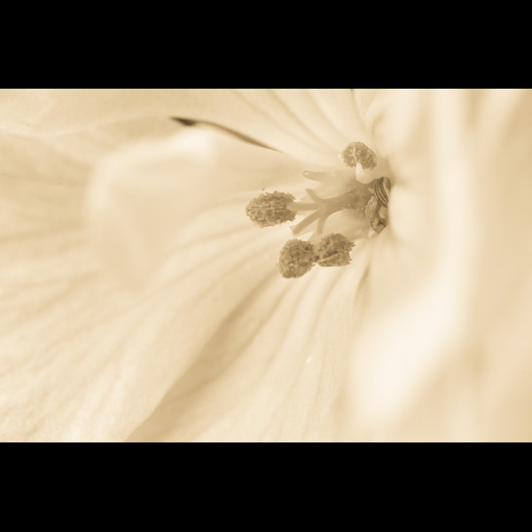 0011