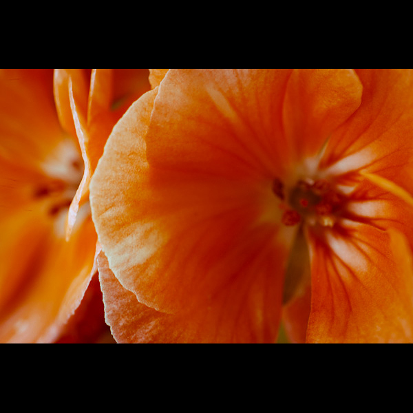 0031