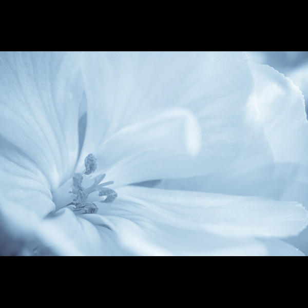 0041