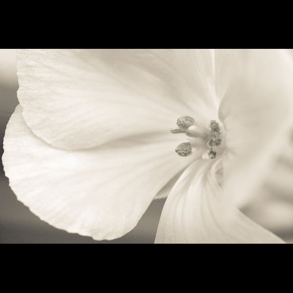 0051