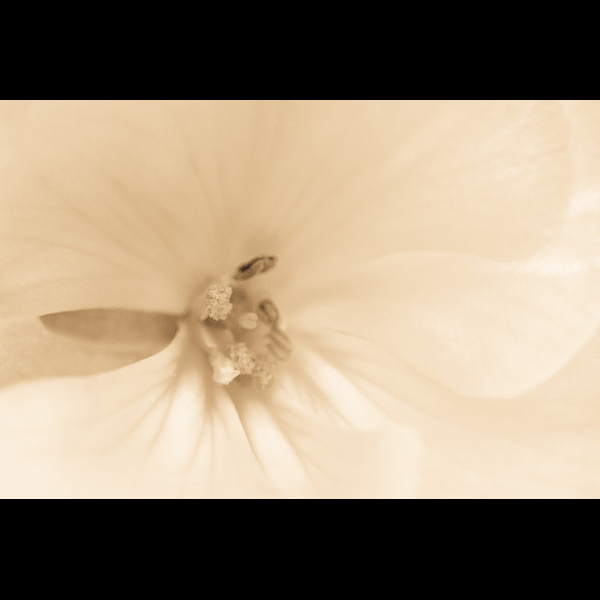 0071