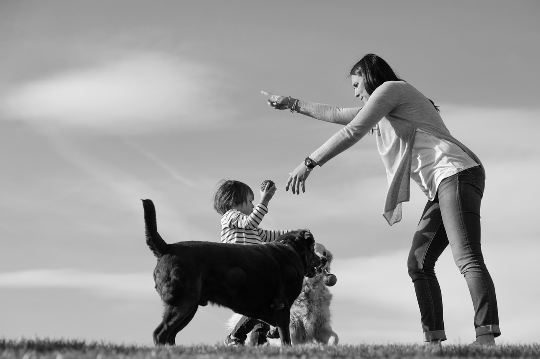 fotografo de familia con perros en madrid