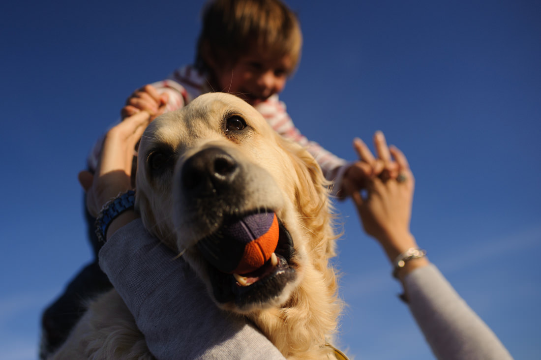 sesion de fotos de familia con perros en madrid